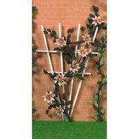 Climbing Pink Clematis for Dolls House