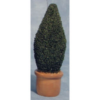 Potted Conifer Tree