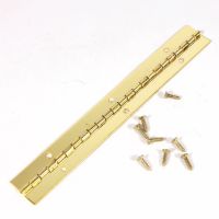 100mm Piano Hinge with Screws