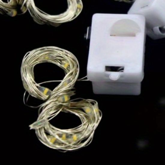 Battery Powered Warm White 10 Light String #2