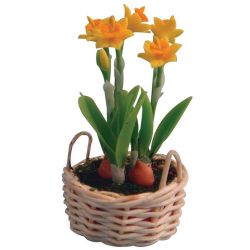 Daffodils in Basket