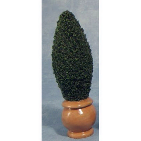 Potted Conifer Tree