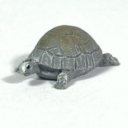 Tortoise